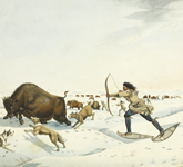 Watercolour painting of Indian hunters on snowshoes and dogs pursuing buffalos with bows and arrows, in the early spring.