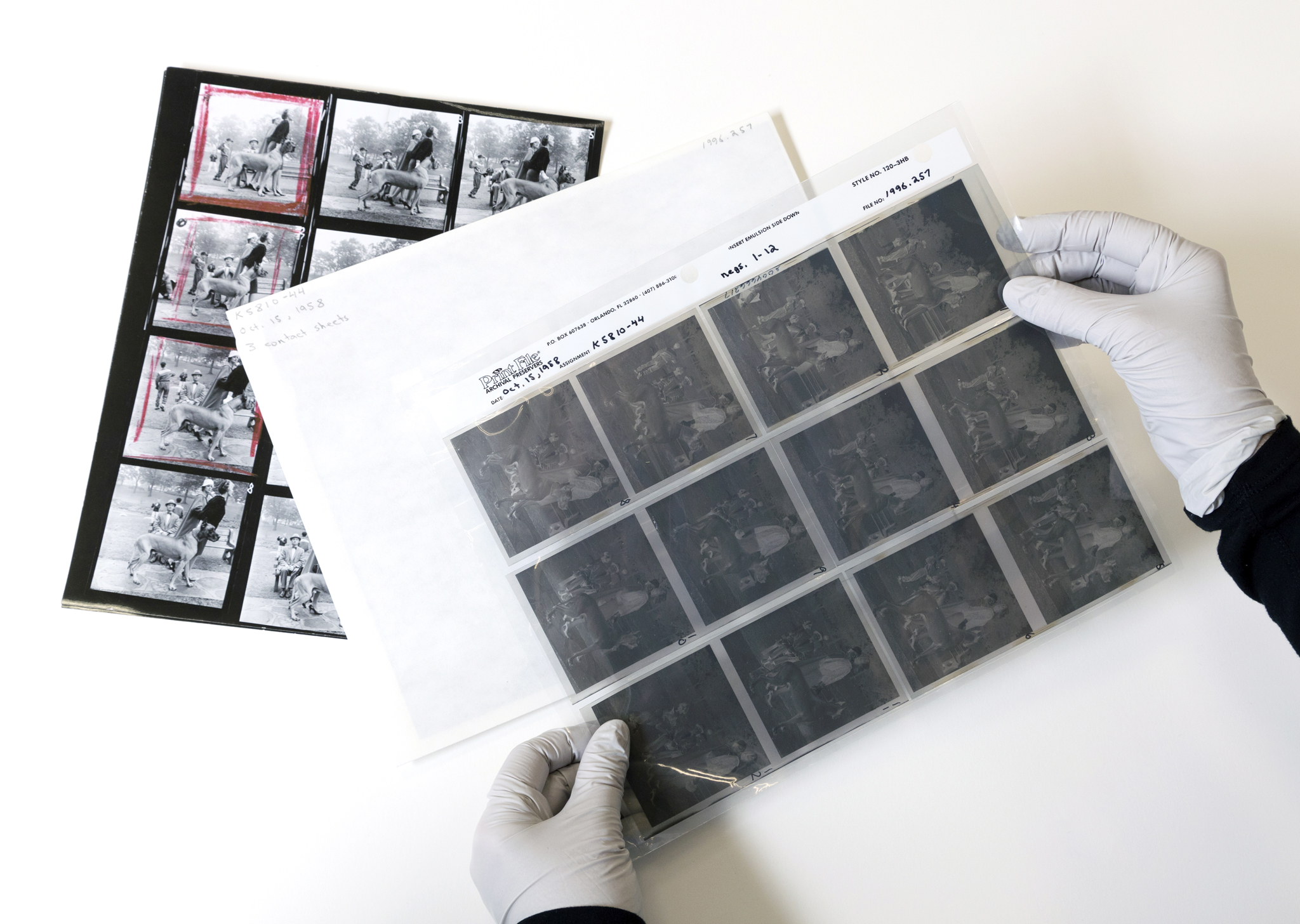 An archivist holding a sheet of negatives with an envelope and a contact sheet below.