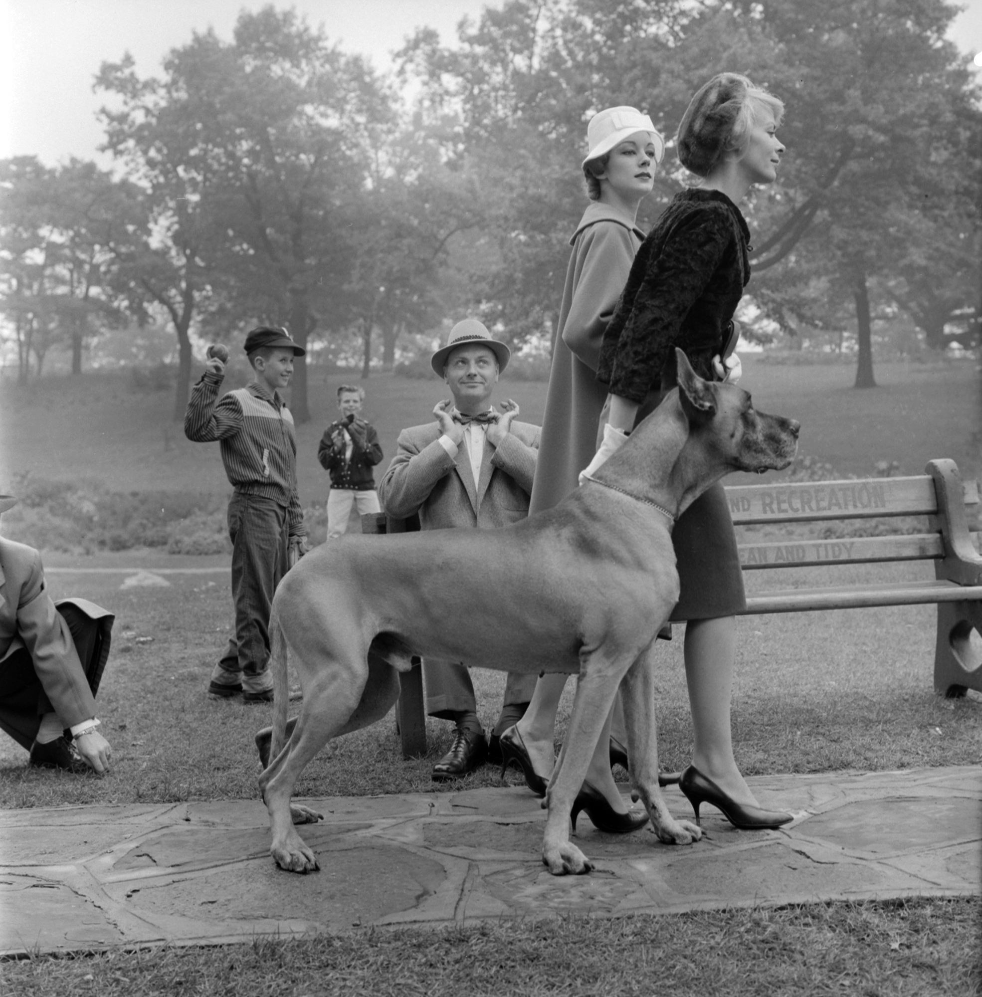 Two women walking Great Dane in a park. A man on a bench watches as they walk by and two young boys playing baseball stop to look.