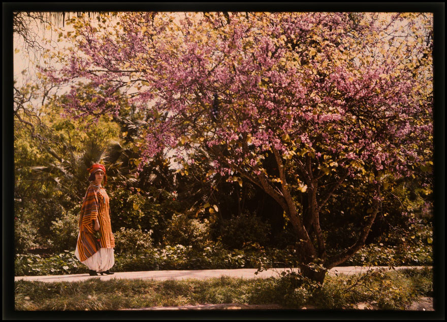 Woman wearing a long orange coat, a red hat and a long white skirt, beside a large pink flowering tree.