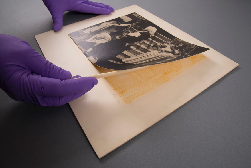 Two hands wearing purple gloves removing a black and white photograph from its mount using a plastic tool.