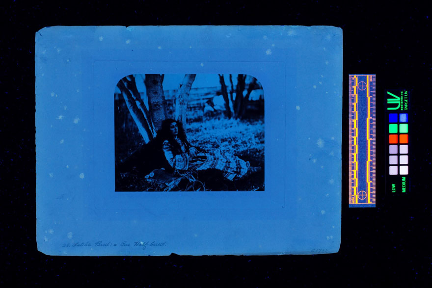 Image of a girl with her back resting on a tree. The image is blue due to the fluorescent lights.