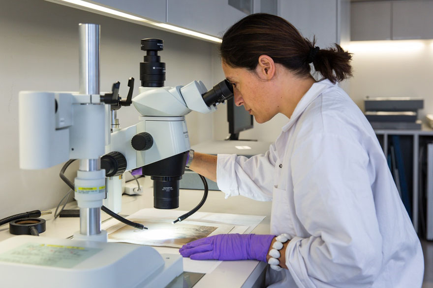 Woman wearing a laboratory coat and gloves, looking at a photograph through a microscope.