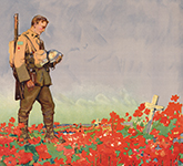 Photograph depicting soldier looking at field of poppies